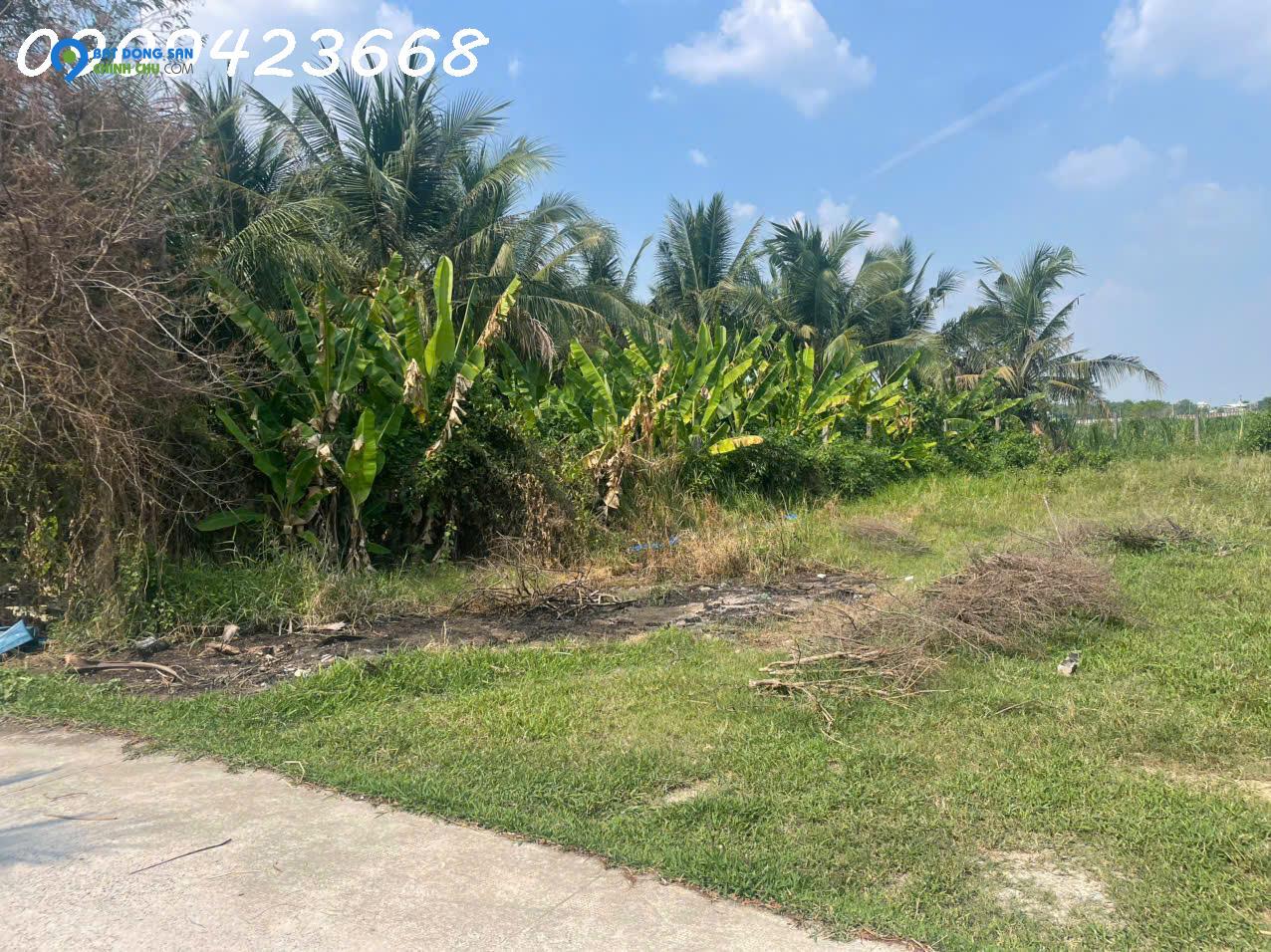 BÁN MIẾNG ĐẤT ĐẸP 355M² FULL THỔ – NGAY ĐỨC LẬP THƯỢNG – GIÁ CHỈ 1 TỶ 950 TRIỆU