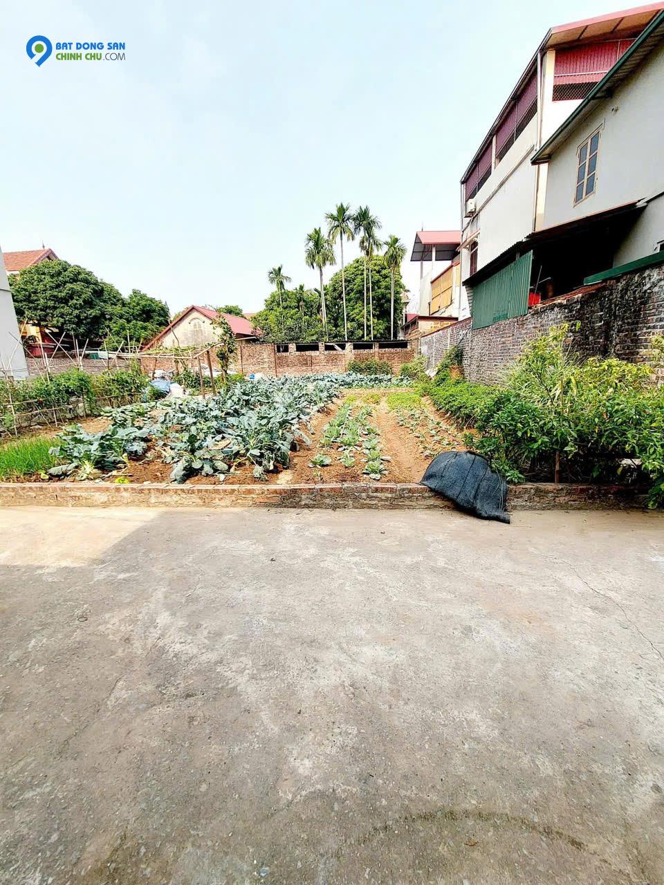 Bán đất thổ cư 63m², Võng Xuyên, Phúc Thọ, Hà Nội - 1.8 tỷ, sổ đỏ