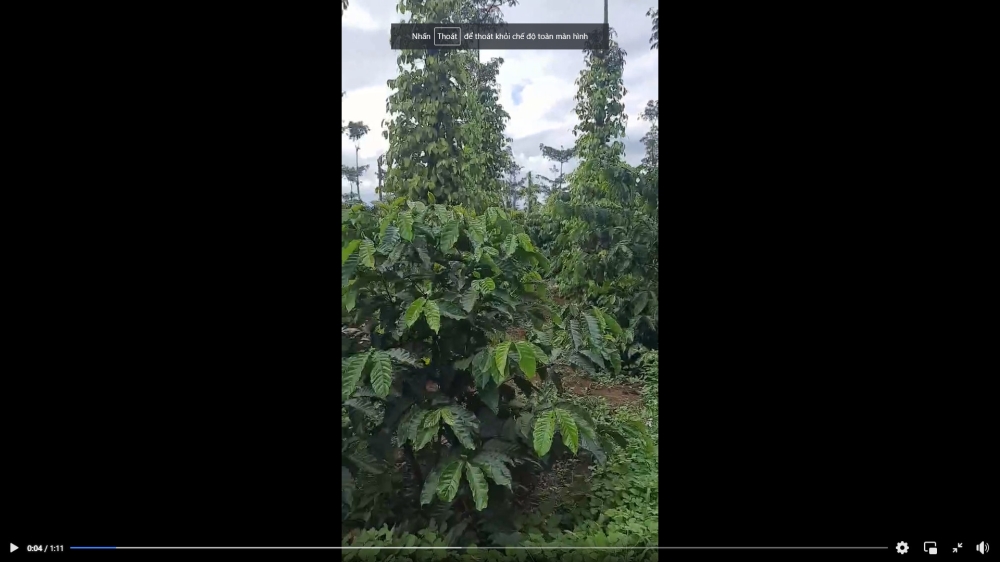 CHÍNH CHỦ Cần Bán Nhanh Lô Đất 3 Mặt Tiền Vị Trí Đẹp Tại huyện Đắk Glong, tỉnh Đắk Nông