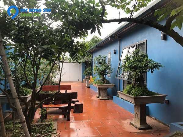 Cho thuê lâu dài nhà vườn tại Đông La 520m2. 3PN, full đồ cao cấp, 15tr/tháng, gần Tố Hữu, gần công viên, hồ điều hòa