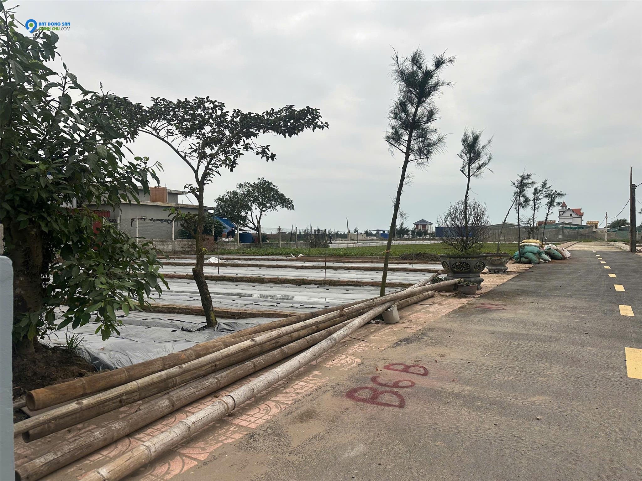 Chủ cần tiền bán đất ven biển Quất Lâm