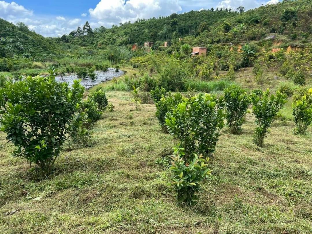 Chủ ngợp tiền cần bán gâp lô đất Bảo Lộc-Lâm Đồng vị trí đắc địa , pháp lý rõ ràng