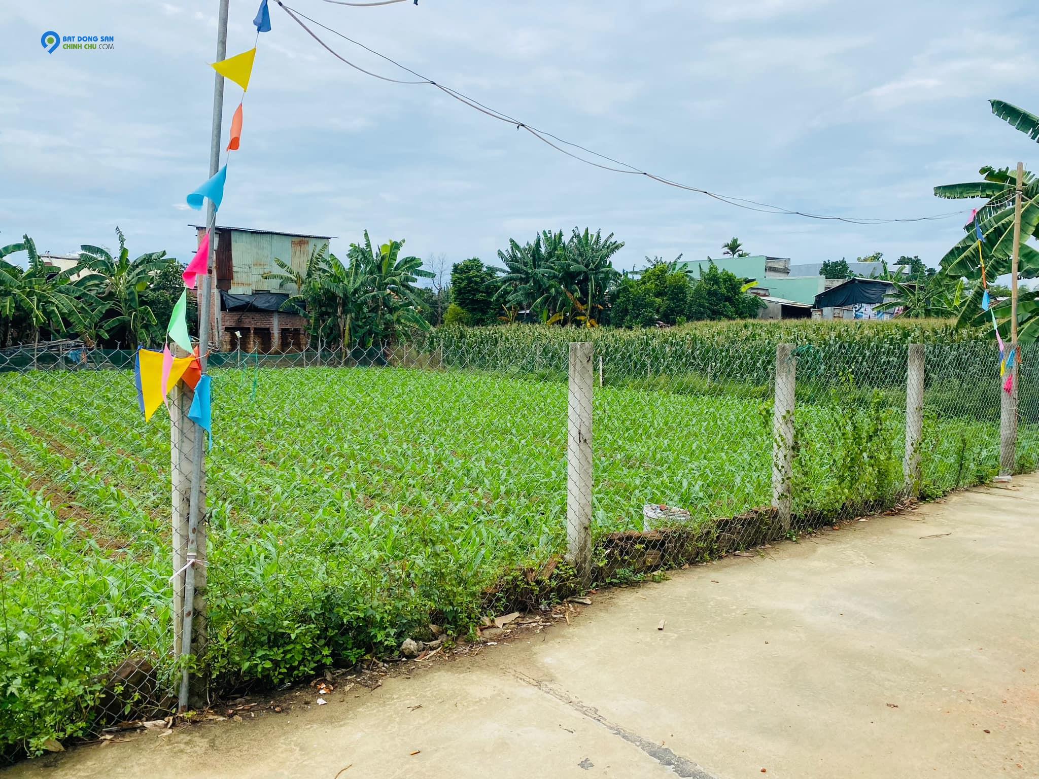 Đất Đại Cường - Đại Lộc diện tích rộng xây nhà vườn, biệt thự