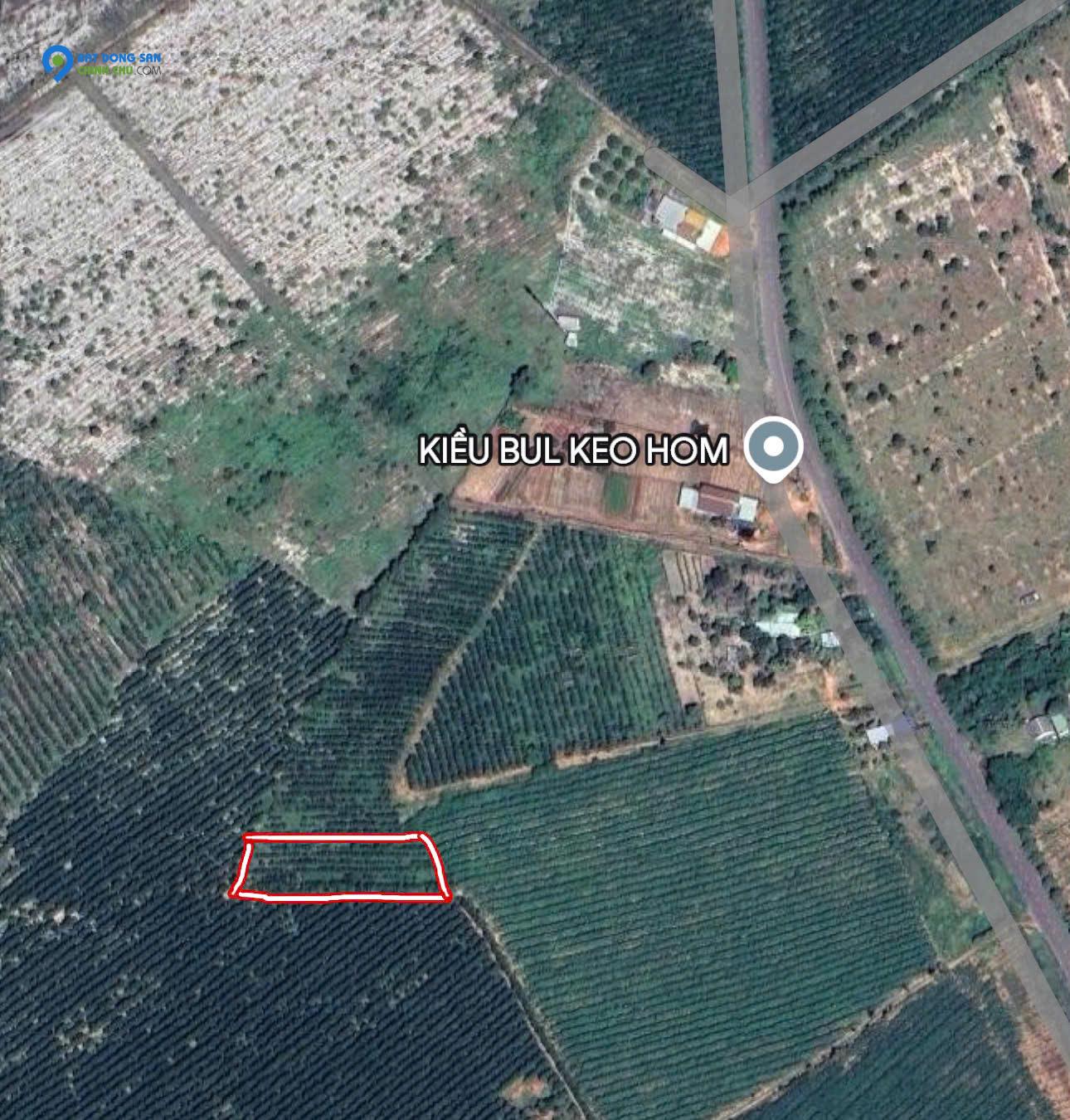 Đất Đẹp Thắng Hải – 1236m² Giá Chỉ 1,2 Tỷ – Đầu Tư Sinh Lời Cao