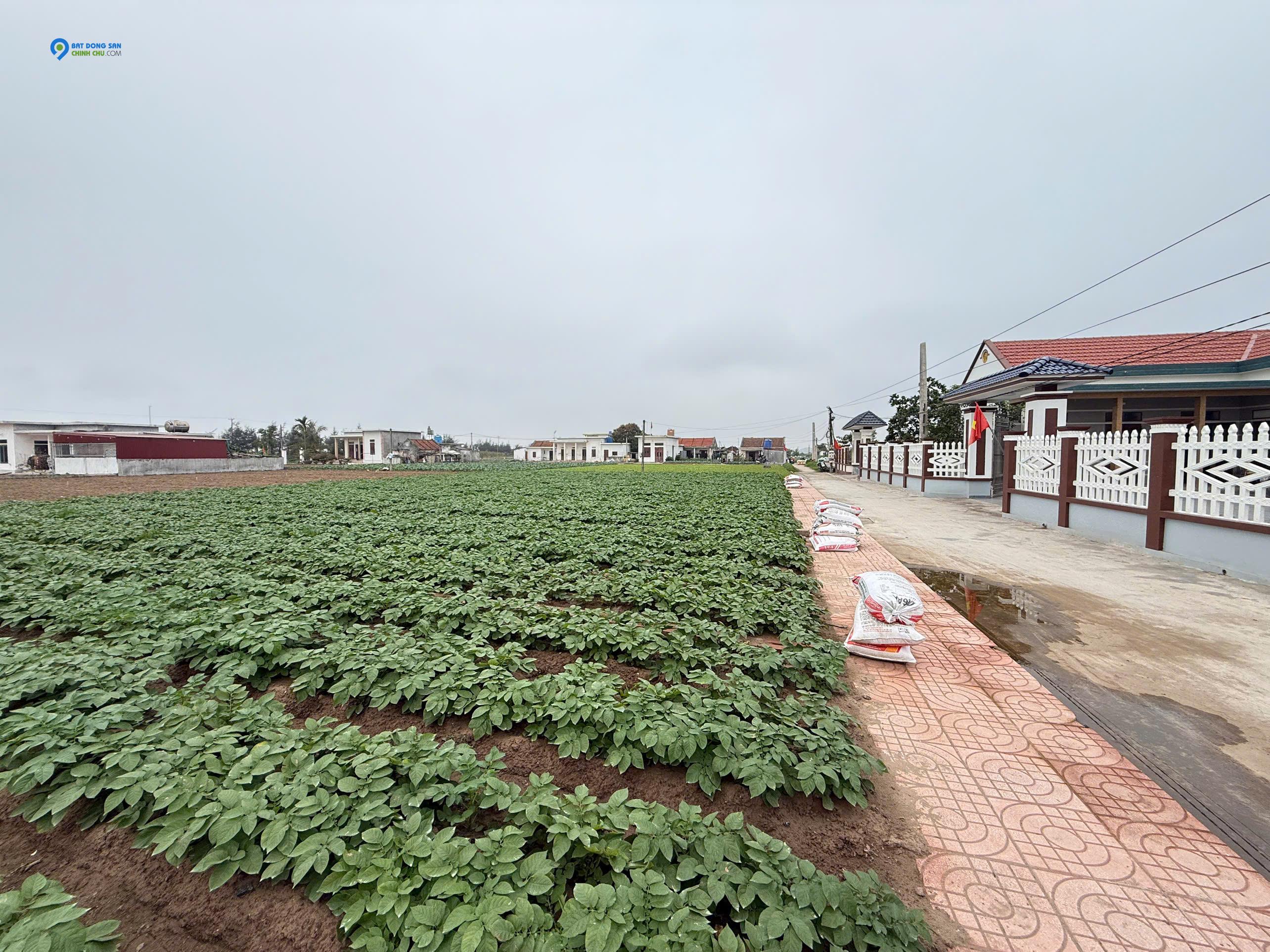 Đất nền ven biển Quất Lâm Nam Định