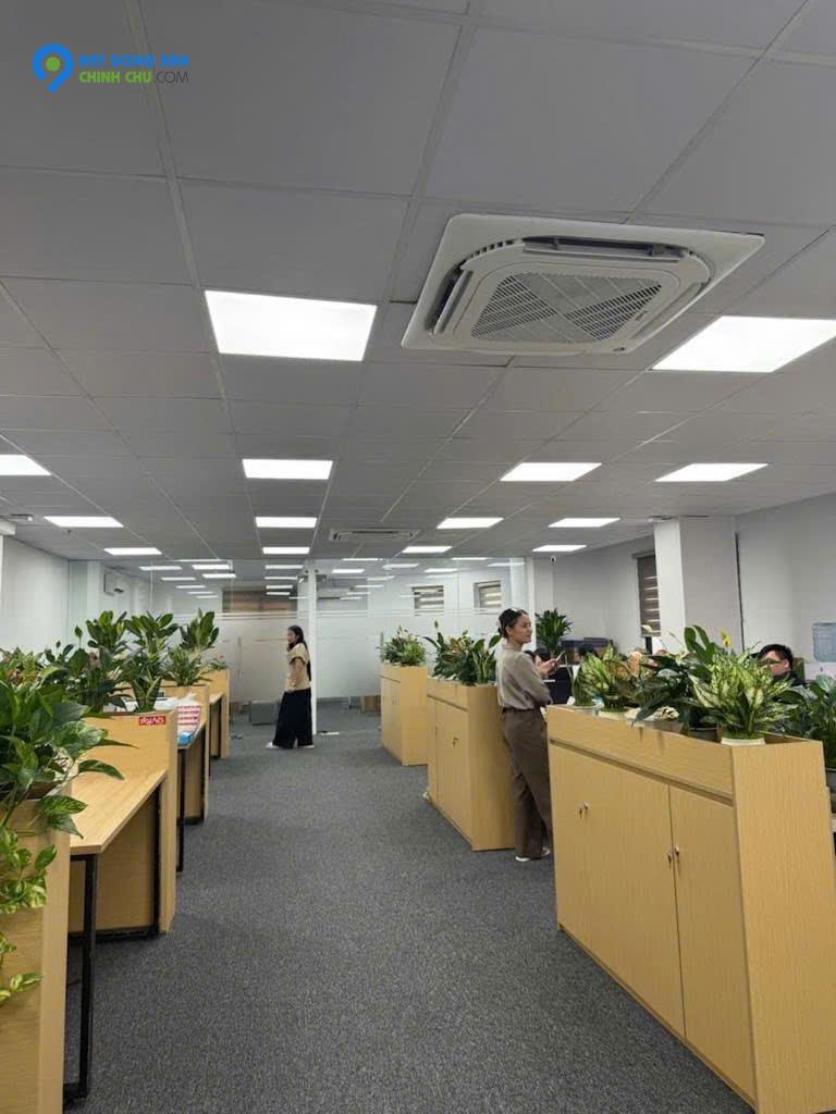 Hiếm bán tòa nhà mặt phố Bà Triệu, Hàng Bài, Hoàn Kiếm DT 75m2, 8 tầng thang máy, có hầm, KD siêu đỉnh cao