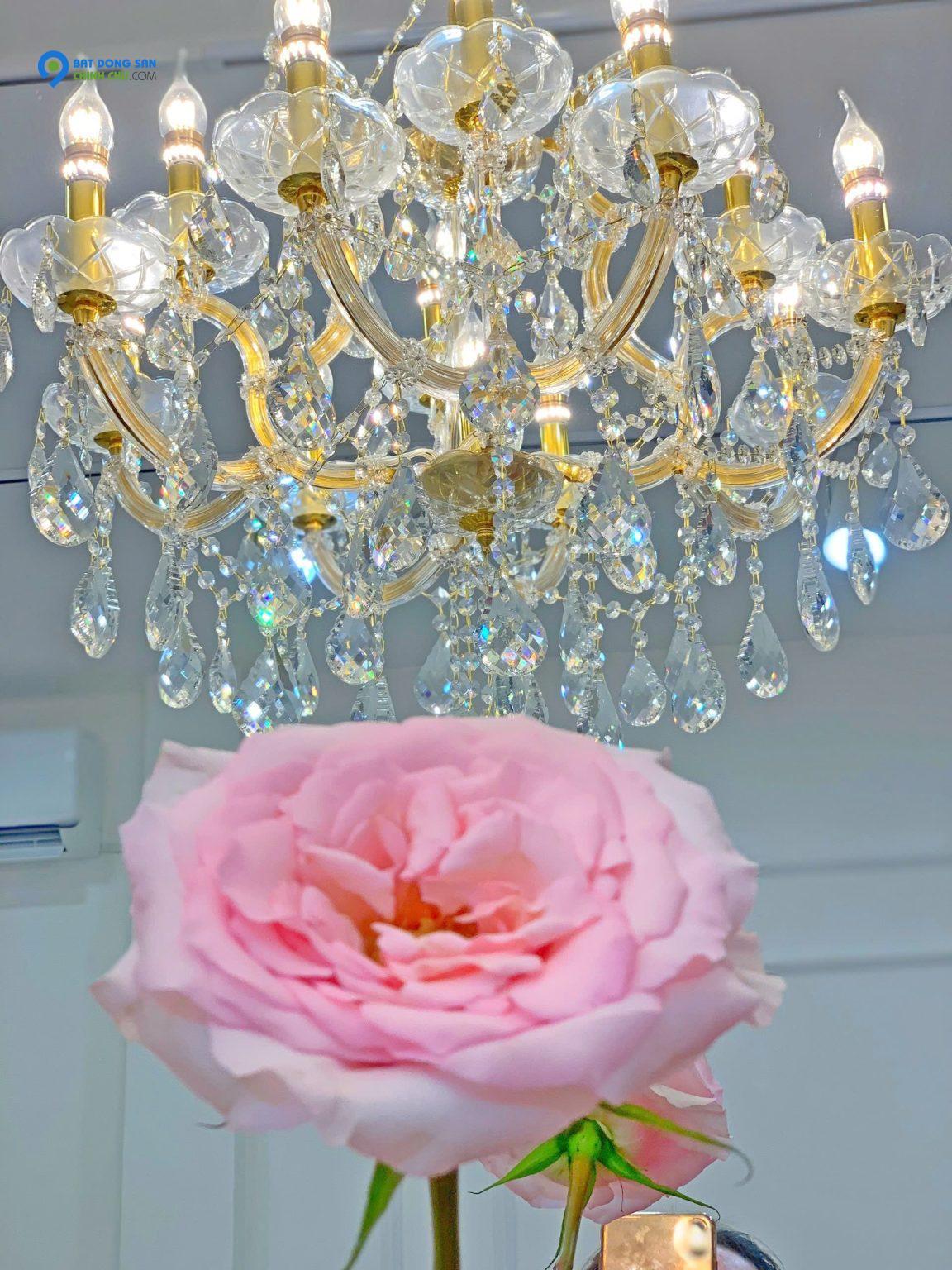 Quận Phú Nhuận ! SANG LẠI MB SHOP DECOR MỚI ĐẸP – GIÁ RẺ, Tel : 0909782578 ( Chính chủ )