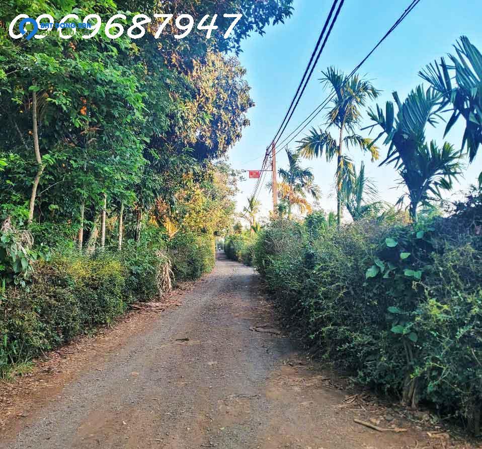 SIÊU HOT - BÁN LÔ CÀ PHÊ 1.3 HA ĐẤT ĐỎ BA ZAN - CÁCH QL 14 CHỈ 400M -  BUÔN MA THUỘT - CHỈ 450TR/ SÀO