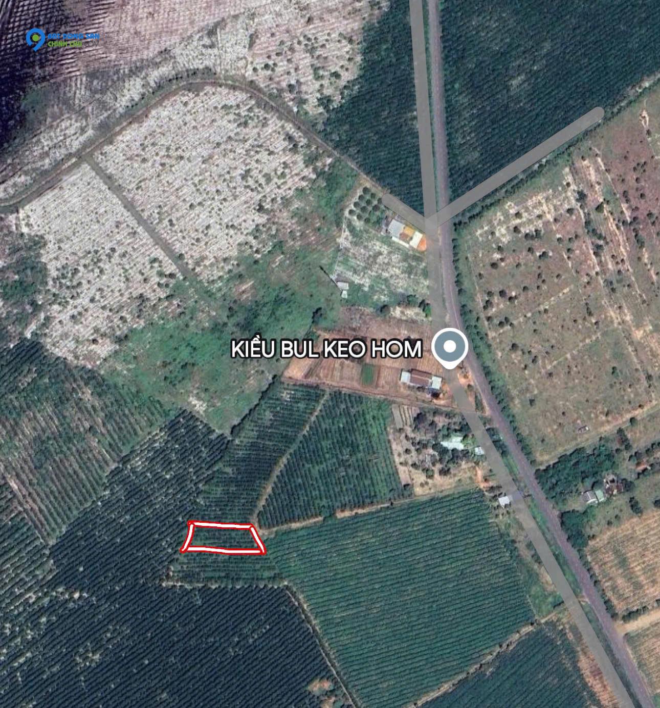 khả năng Đầu Tư Vàng: 1033m2 Đất Thổ Cư Quốc Lộ 55, Hàm Tân - Bình Thuận, Chỉ 1 Tỷ!