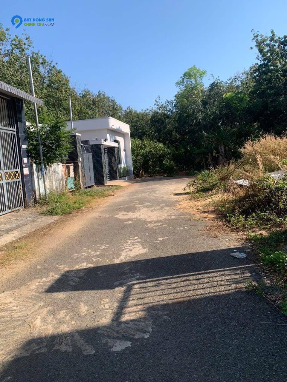 🌳 Bán gấp 200m² giá 250 triệu, thổ cư 100%, đường nhựa 7m 📍